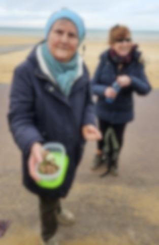 Courseulles 20 février 2025