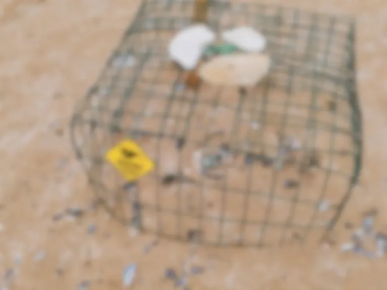 Luc sur Mer Ouistreham 2 mai 2024