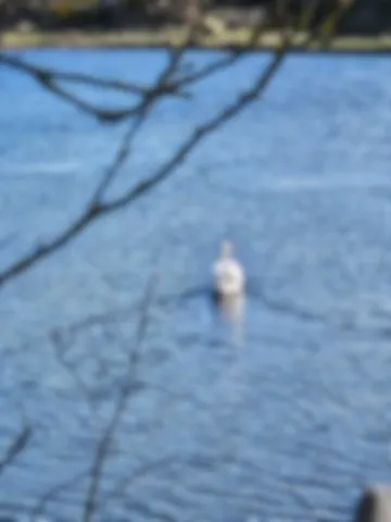 Sallenelles Jeudi 27 février 2025