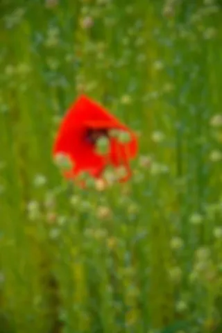 Rando du 5 juin 2025